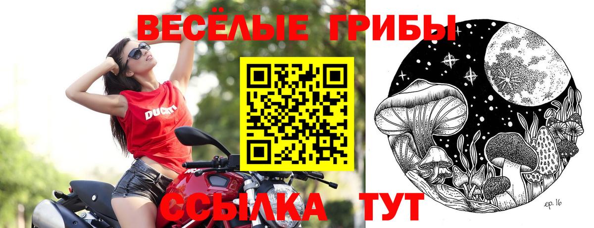 Галлюциногенные грибы ЛСД Орехово-Зуево
